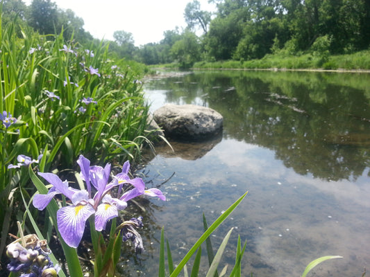 Stream Restoration – The Next Frontier
