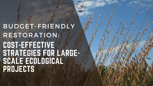 Budget-Friendly Restoration: Cost-Effective Strategies for Large-Scale Ecological Projects