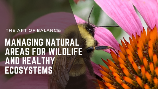 The Art of Balance: Managing Natural Areas for Wildlife and Healthy Ecosystems