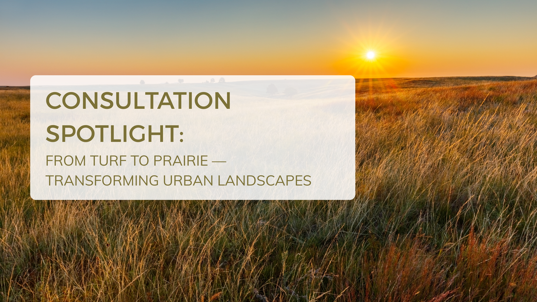 Consultation with Natural Communities team — discussing site preparation and native plant selection for urban restoration.