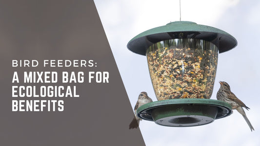 Bird feeders: a mixed bag for ecological benefits. 