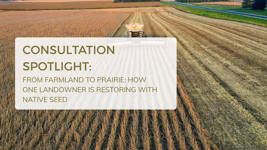 Consultation Spotlight: From Farmland to Prairie: How One Landowner Is Restoring 5+ Acres with Native Seed