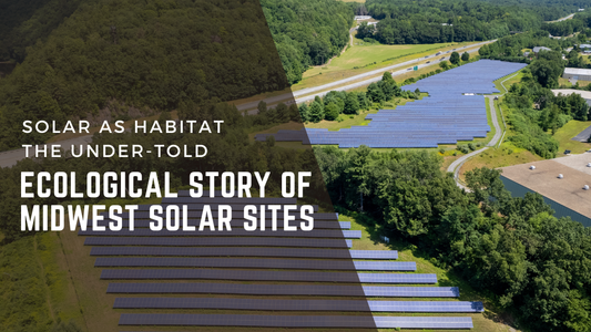 Solar as Habitat in the Midwest | Native Seed for Pollinators, Birds & Ecological Function