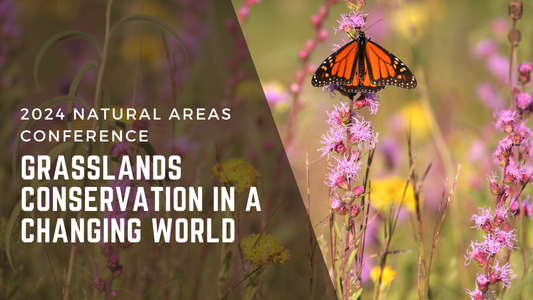 Grasslands Conservation in a Changing World