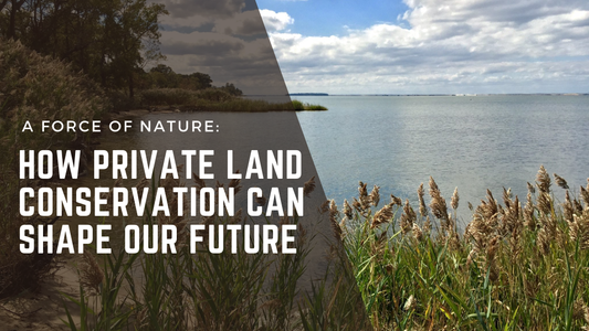 A Force of Nature: How Private Land Conservation Can Shape Our Future