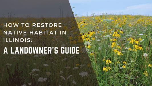 How to Restore Native Habitat in Illinois: A Landowner's Guide