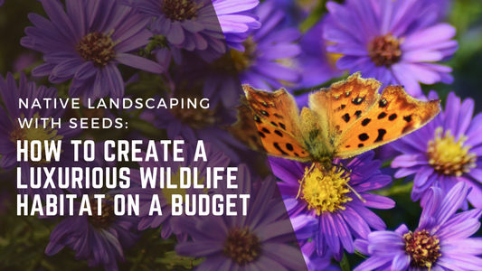 Native Landscaping with Seeds: How to Create a Luxurious Wildlife Habitat on a Budget