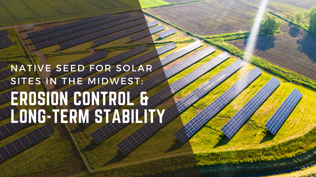 Native seed on Midwest solar sites improves erosion control, soil health, and long-term stability while reducing mowing and O&M costs.