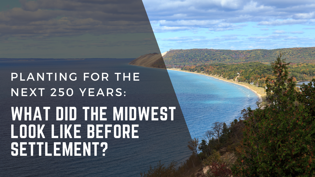 Planting for the Next 250 Years: What Did the Midwest Look Like Before Settlement?