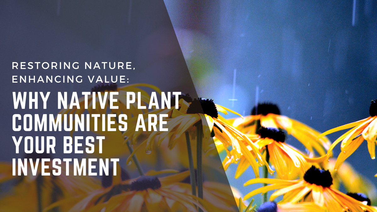Restoring Nature, Enhancing Value: Why Native Plant Communities Are Yo ...