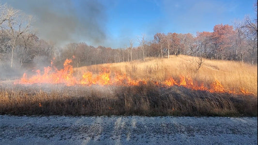 🔥 Prescribed Fire Season 🔥