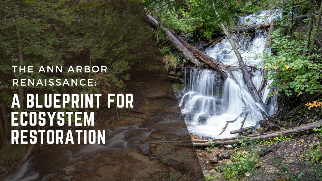 Waterfall cascading through forested ravine in southern Michigan natural landscape