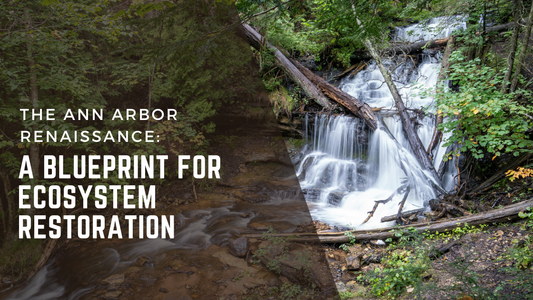 Waterfall cascading through forested ravine in southern Michigan natural landscape