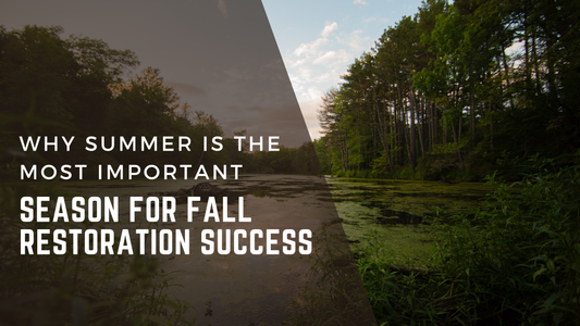 Why Summer Is the Most Important Season for Fall Restoration Success