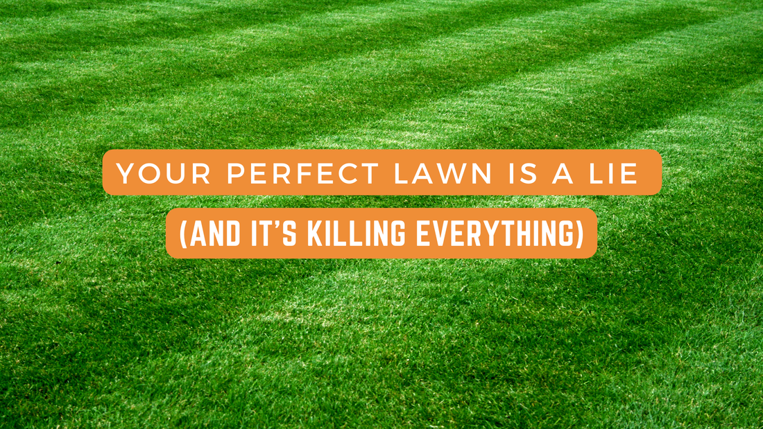 Your Perfect Lawn is a Lie (and It's Killing Everything)