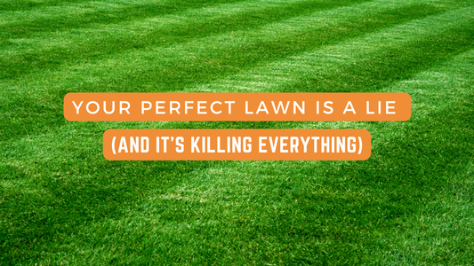 Your Perfect Lawn is a Lie (and It's Killing Everything)