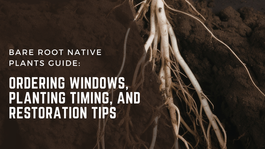 Bare Root Native Plants Guide: Ordering Windows, Planting Timing, and Restoration Tips