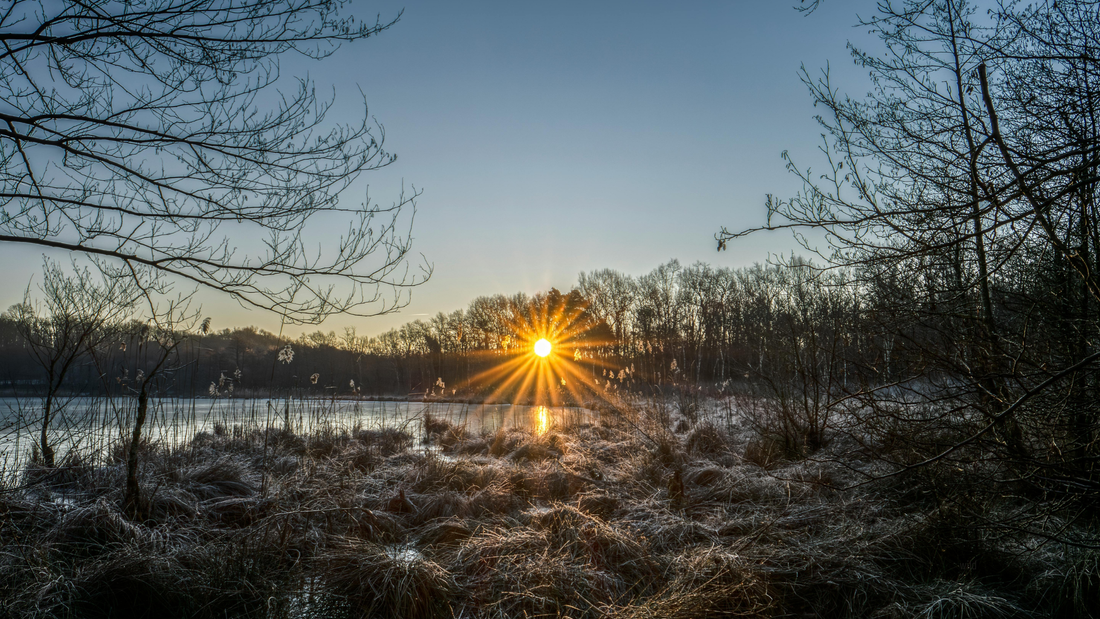 Getting Outside in Winter: Midwest Hikes, Cross-Country Skiing & Seeing the Land Differently
