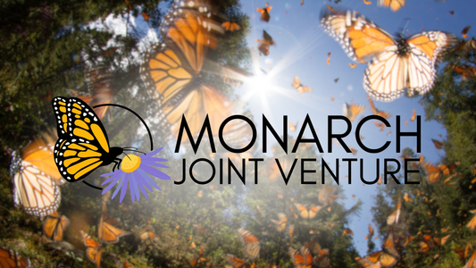 Monarch Habitat Plants & Seed | Natural Communities + Monarch Joint Venture