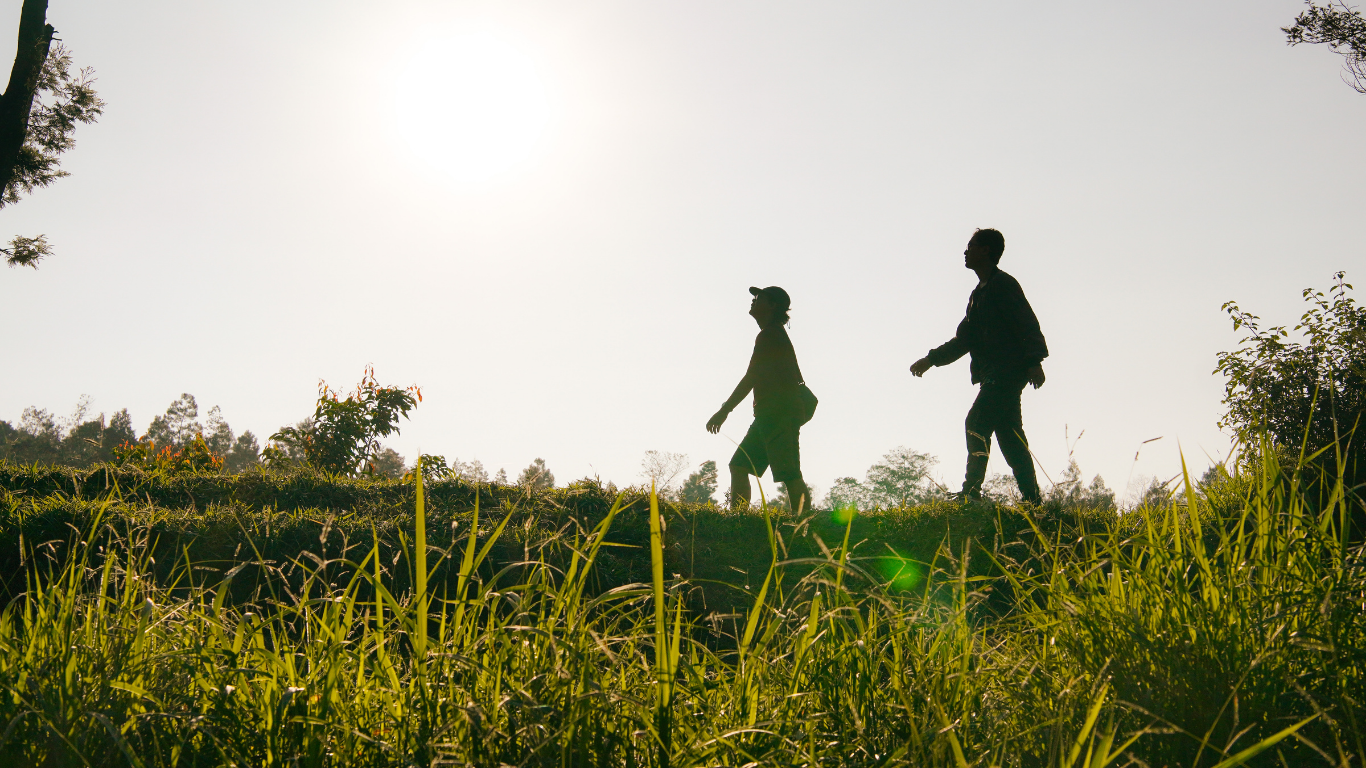 Annual Land Stewardship Consulting | Ecological Consulting Services