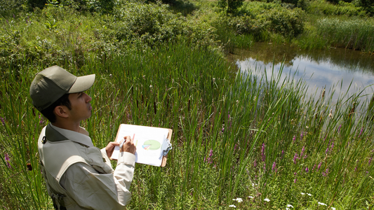 Quarterly Land Stewardship Consulting