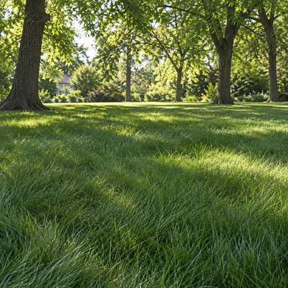 Eco-Mow Low-Maintenance Grass Seed Blend