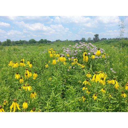 IN CRP, WRE, EQIP Seed Mixes - Indiana
